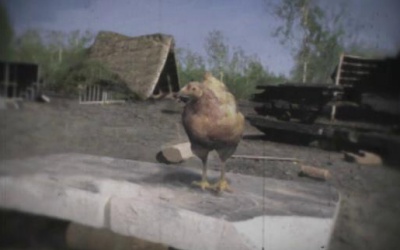 La Poule G&eacute;rard