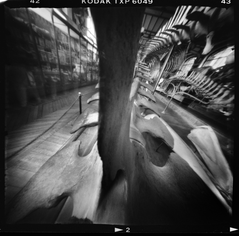 François Vogel - paleonto005.jpg