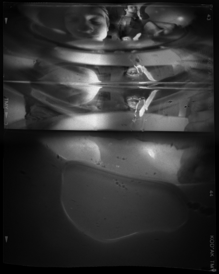 François Vogel - poissons_argent03.jpg