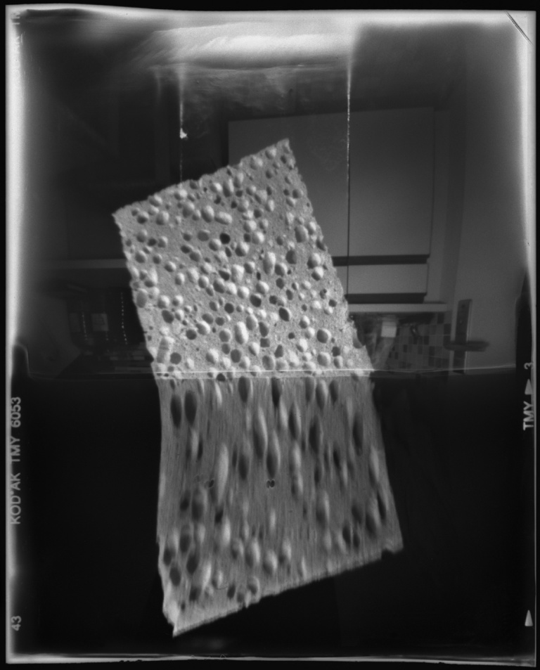 François Vogel - poissons_argent07.jpg