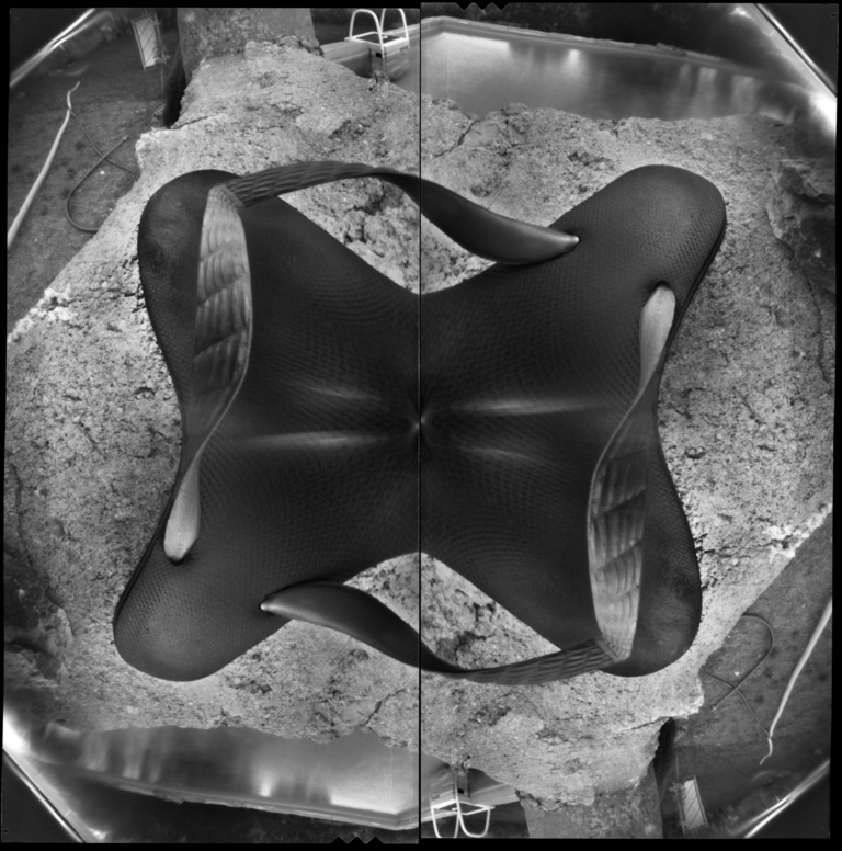 François Vogel - double flip flop
