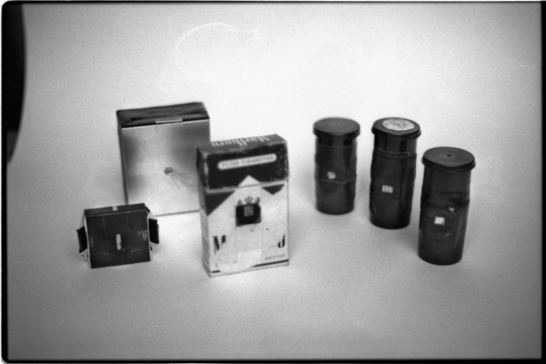 François Vogel - pinhole micro 2