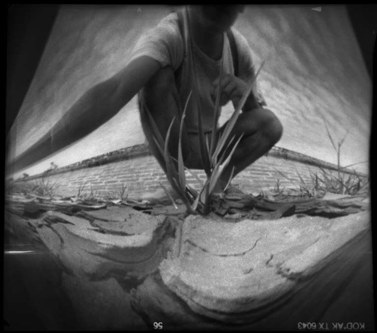 François Vogel - dry earth