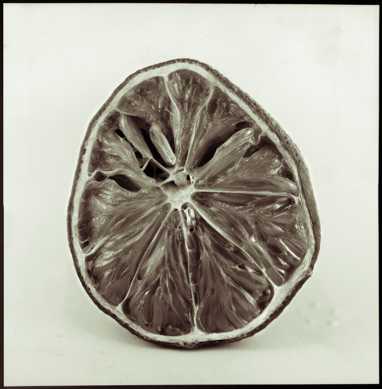 François Vogel - Lemon