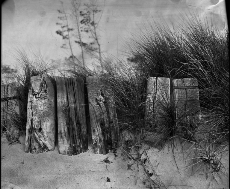 François Vogel - beach