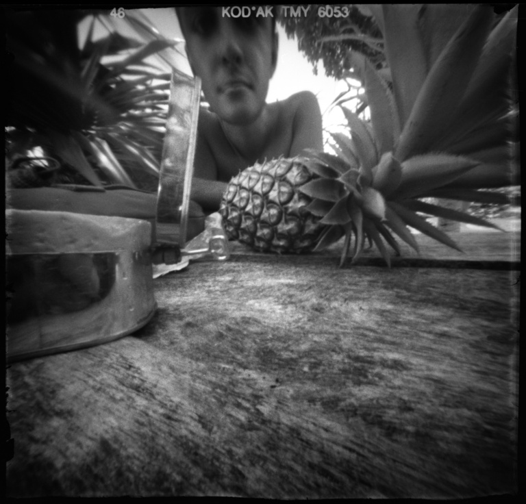 François Vogel - pineapple