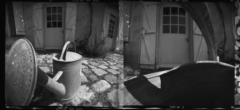 François Vogel - watering can