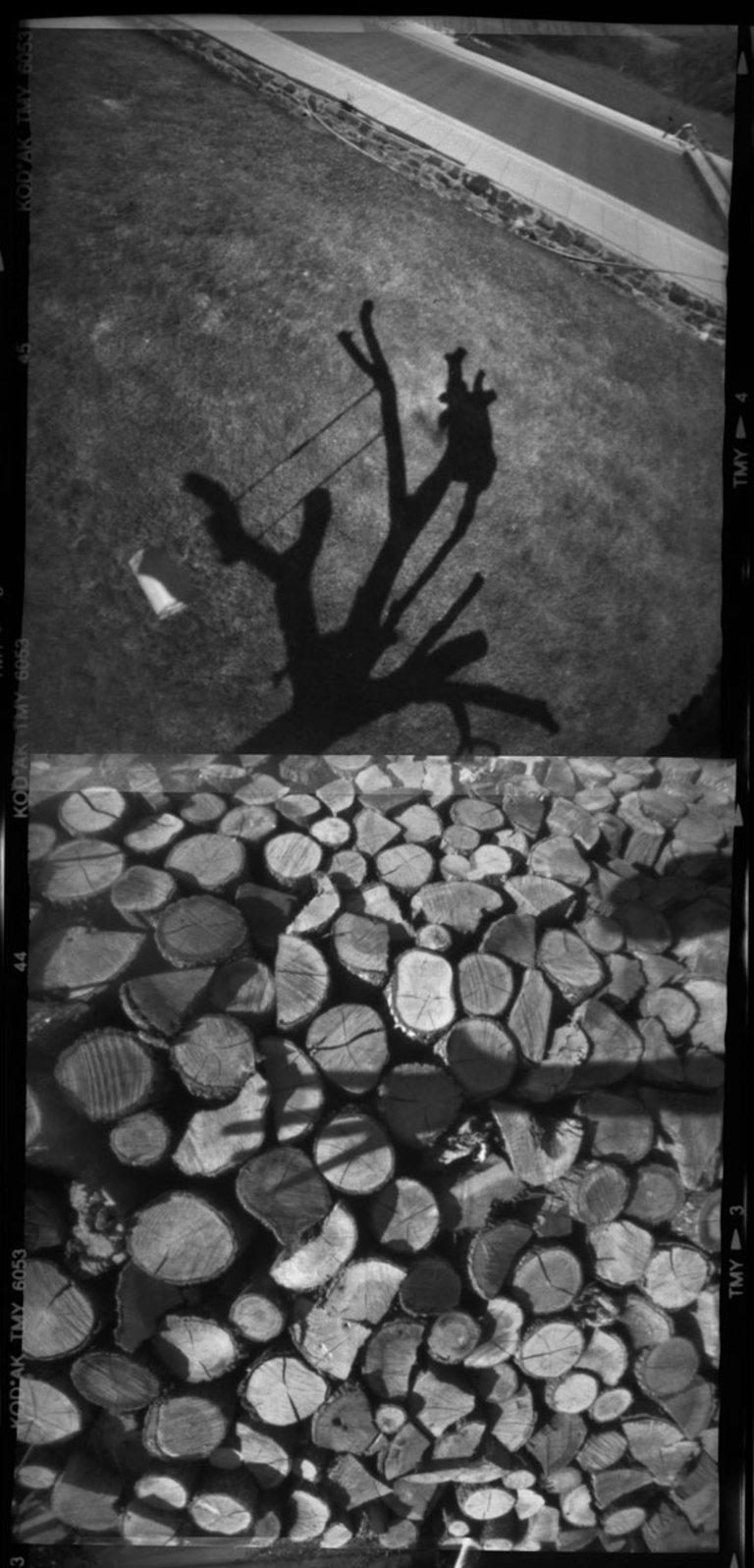 François Vogel - shadows