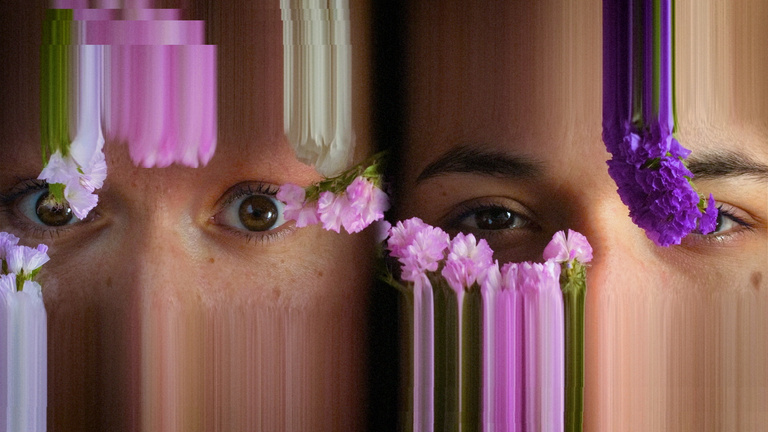 François Vogel - Flor Vergonya