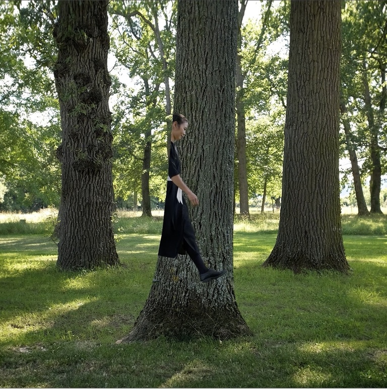 François Vogel - Nidta et les arbres